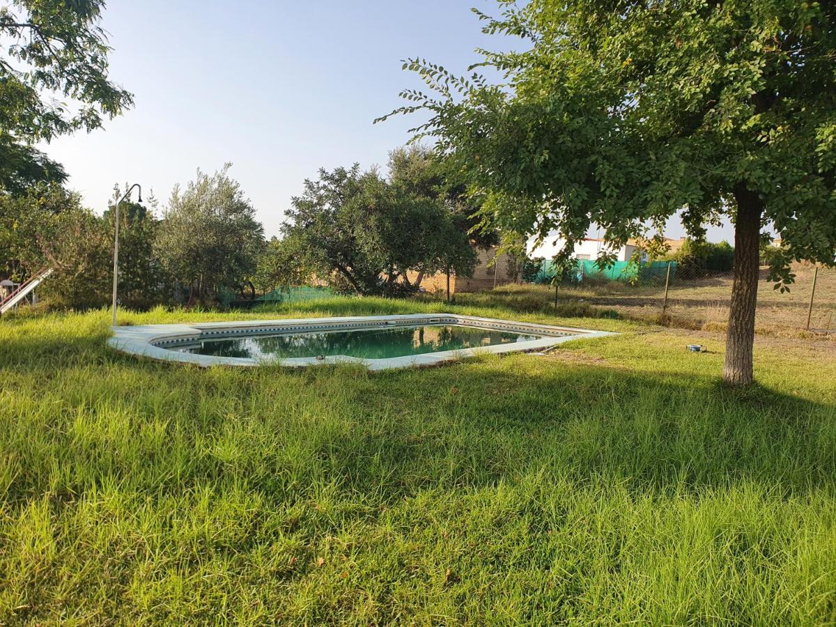 Hébergement de vacances Chalet Sanlucar La Mayor *